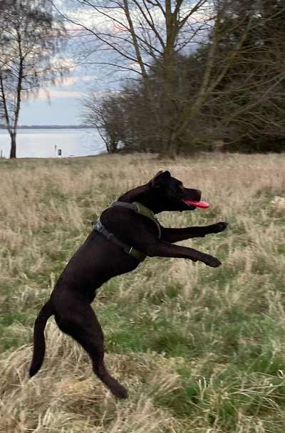 Lieblings Fotos-Beitrag-Bild