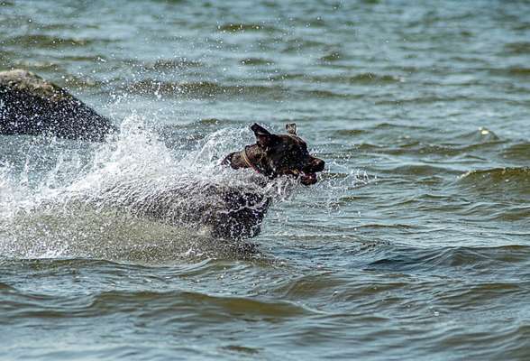 Eure Strandbilder :)-Beitrag-Bild