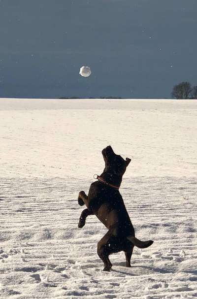 Challenge Nr. 15
Spiel im Schnee-Beitrag-Bild