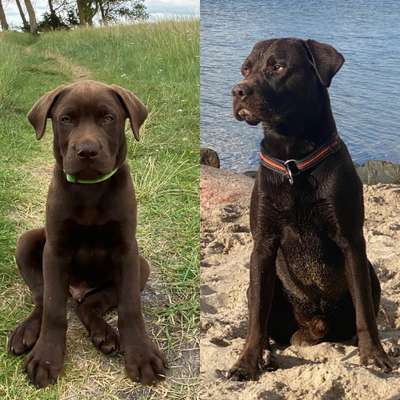 Vorher.... Nachher-Beitrag-Bild