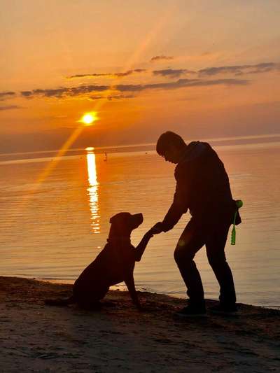 Hundmenschfotos-Beitrag-Bild