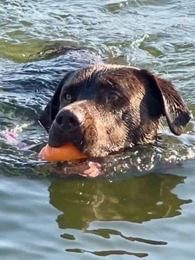 Lieblingsbild-Beitrag-Bild