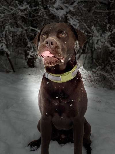 Dogorama Photo Challenge - Es wird nochmal kalt!-Beitrag-Bild