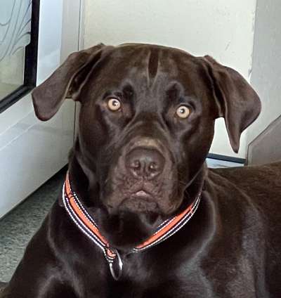 Fotochallange Nr. 57     PORTRÄT.   Beendet!!!!!!!!-Beitrag-Bild