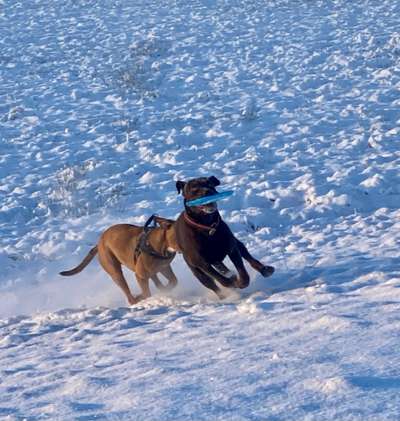 Zeigt doch mal eure Discdogs-Beitrag-Bild