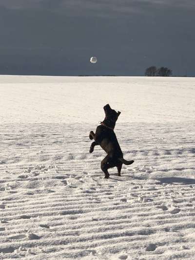 Fotochallenge 61 ~ Schnee-Beitrag-Bild