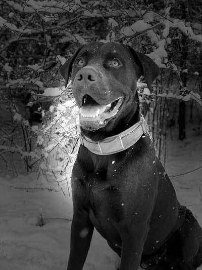 Foto-Challenge 76: Foto in Schwarz-Weiss-Beitrag-Bild