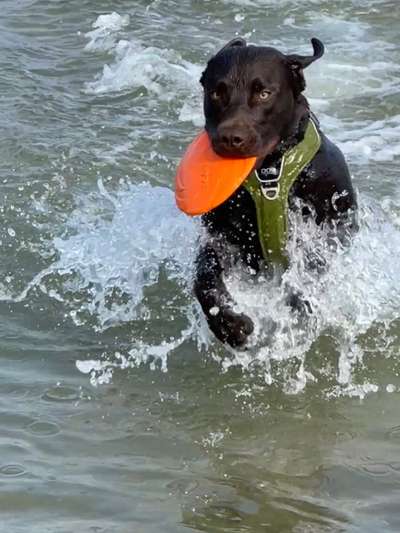 FOTOCHALLANGE NR.71 BADEFREUDE-Beitrag-Bild