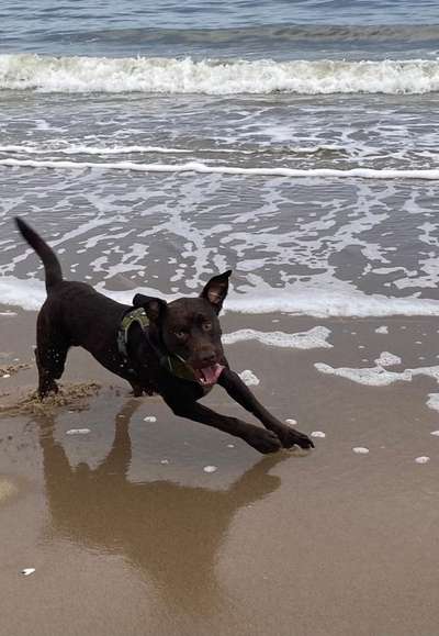 Eure Strandbilder :)-Beitrag-Bild