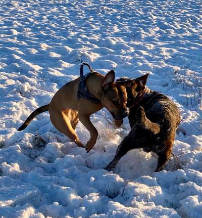 Challenge Nr. 15
Spiel im Schnee-Beitrag-Bild