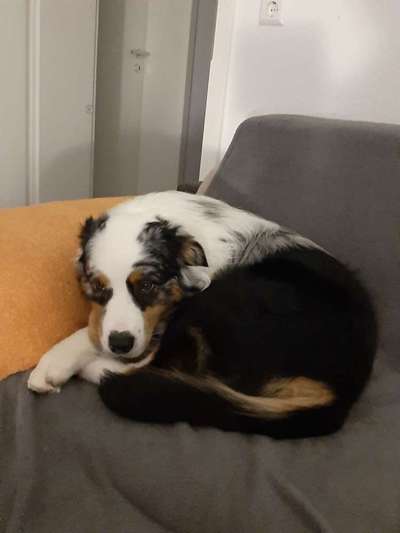 Wie übersteht ihr Silvester?-Beitrag-Bild