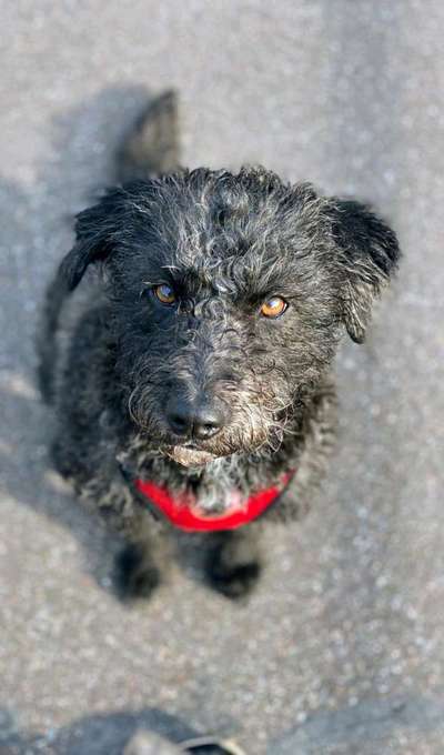 Fotochallange Nr. 6 Die irrsten Blicke-Beitrag-Bild