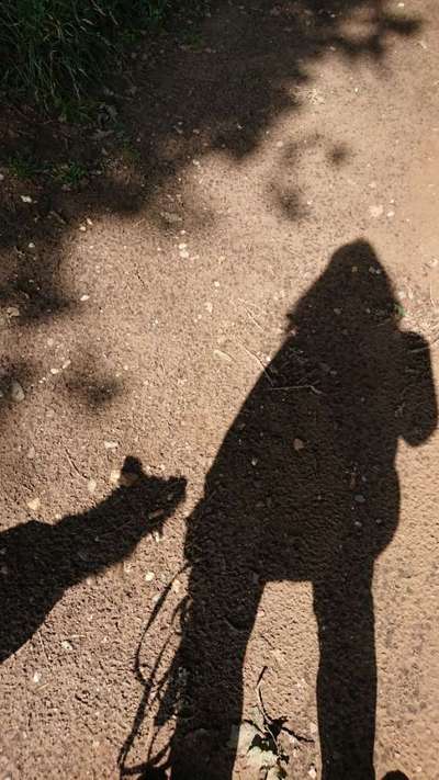 !!SELFIE MIT DEINEM LIEBLING!!-Beitrag-Bild