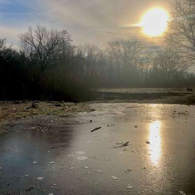 Hundeauslaufgebiet-Wulksfelder Weg - Außenalster-Bild