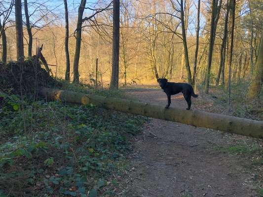 Zeigt mir eure Lieblingsfotos ♡♡-Beitrag-Bild