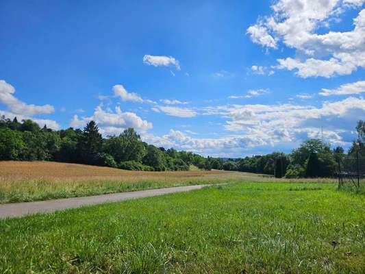 Hundeauslaufgebiet-Feldweg bei Birkenfeld-Bild