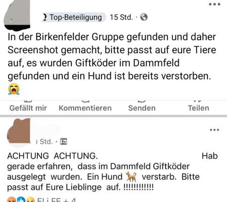 Giftköder-Giftköder-Bild