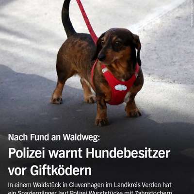 Giftköder-Giftköder-Bild