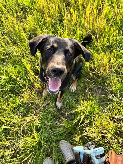 Lieblingsbild-Beitrag-Bild