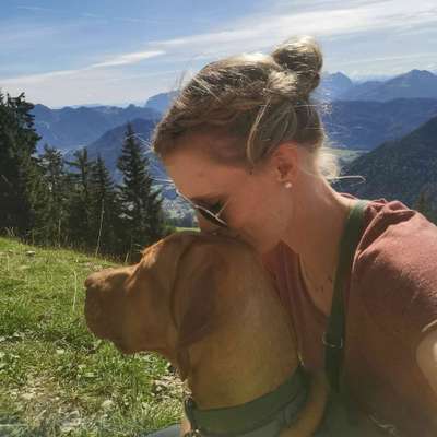 Hundetreffen-Spielgefährten und Gassigefährten gesucht-Profilbild