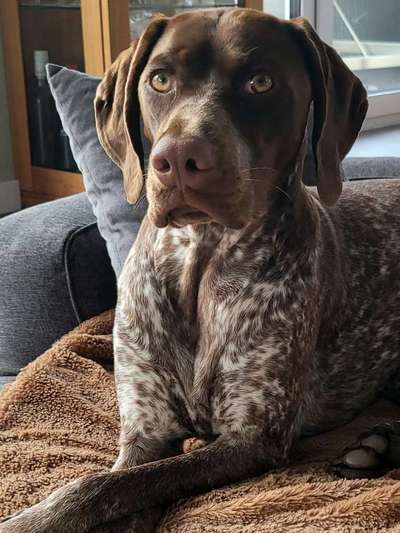 Fotochallange Nr. 57     PORTRÄT.   Beendet!!!!!!!!-Beitrag-Bild