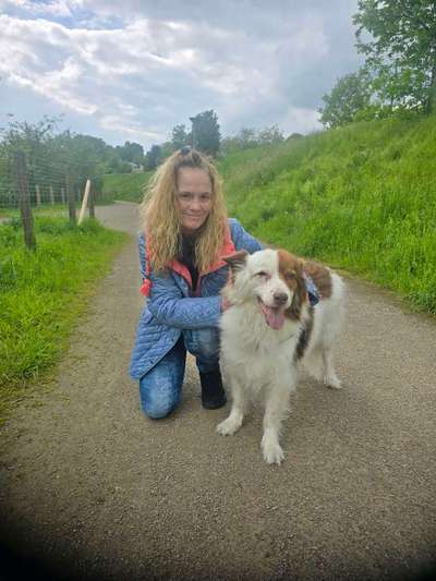 Unsere Fellnasen im Regenbogenland-Beitrag-Bild