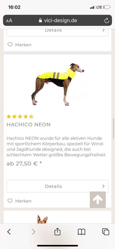 Rhodesian Ridgeback-Beitrag-Bild