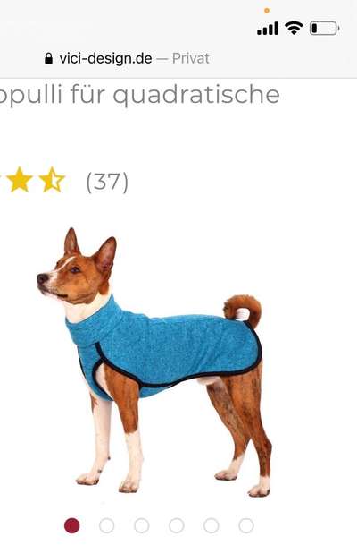 Rhodesian Ridgeback-Beitrag-Bild