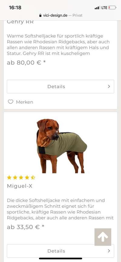 Rhodesian Ridgeback-Beitrag-Bild