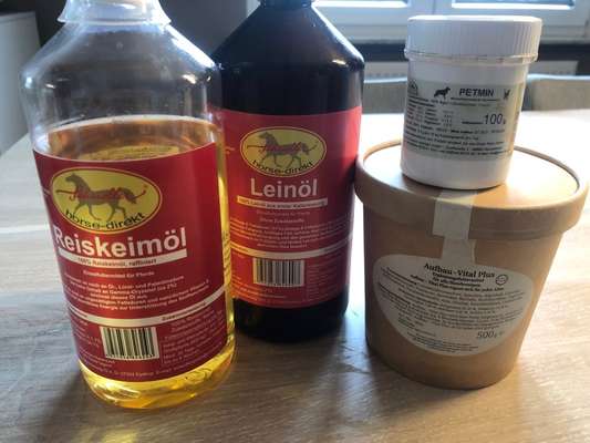 Rhodesian Ridgeback-Beitrag-Bild