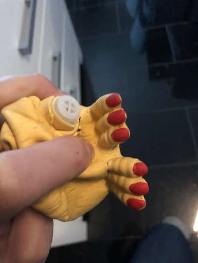 Rhodesian Ridgeback-Beitrag-Bild