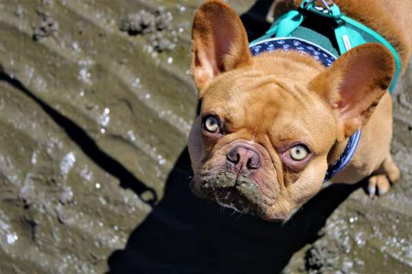 Blick fürs Detail!-Beitrag-Bild