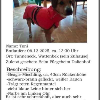 Suchmeldung-Toni-Bild