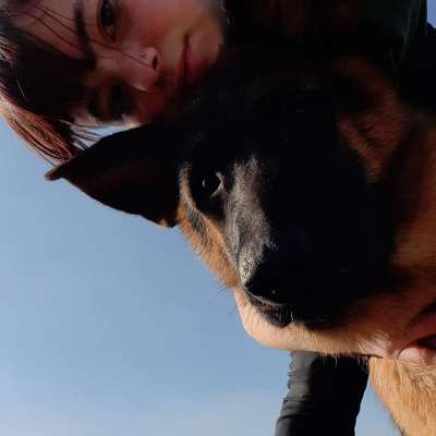 Hundetreffen-Hundespaziergang