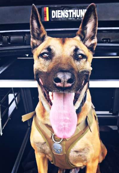 Challenge Nr. 10: "Das schönste Lächeln"-Beitrag-Bild