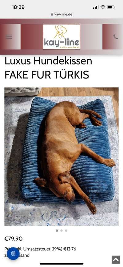 Rhodesian Ridgeback-Beitrag-Bild