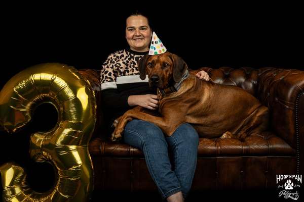 Rhodesian Ridgeback-Beitrag-Bild