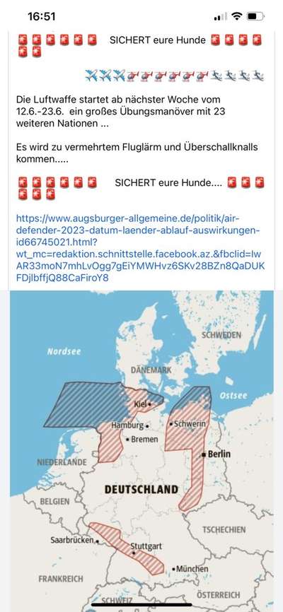 Rhodesian Ridgeback-Beitrag-Bild