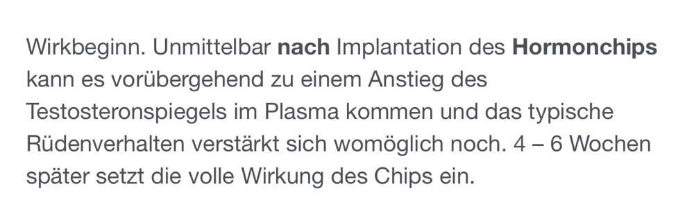 Rhodesian Ridgeback-Beitrag-Bild