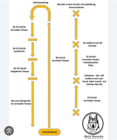 Rhodesian Ridgeback-Beitrag-Bild