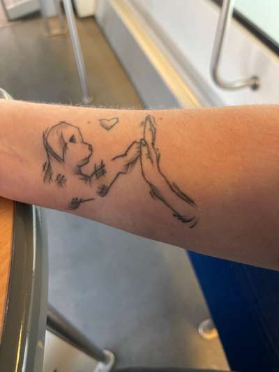 Rhodesian Ridgeback-Beitrag-Bild