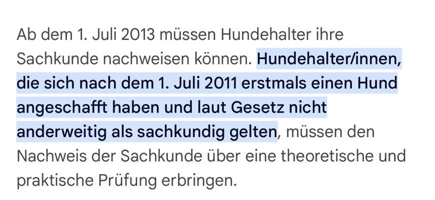 Rhodesian Ridgeback-Beitrag-Bild