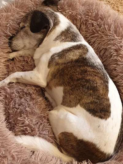 Erfahrung mit Wolkenbett-Beitrag-Bild