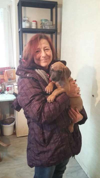 Das erste Foto-Beitrag-Bild