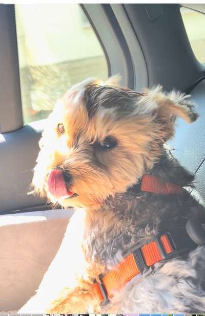 117. Fotochallenge-Beitrag-Bild