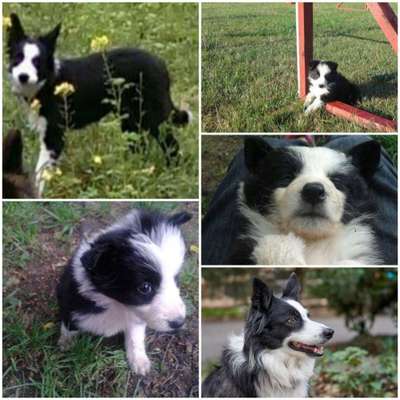 Vorher.... Nachher-Beitrag-Bild