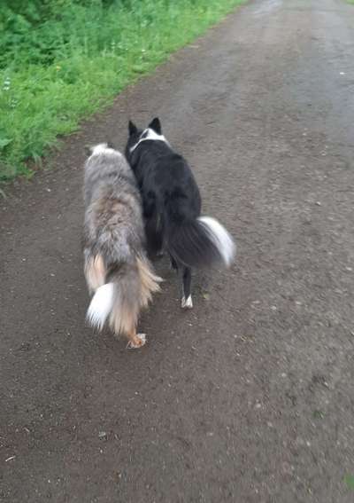 Challenge 30  Freundschaft-Beitrag-Bild