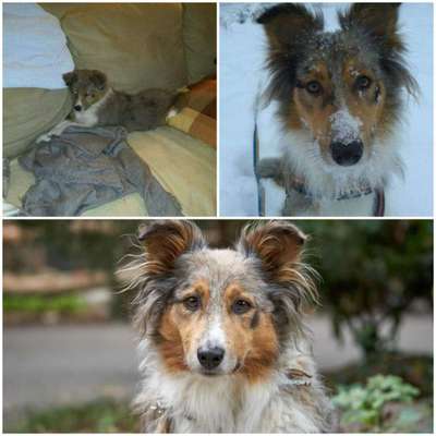 Vorher.... Nachher-Beitrag-Bild