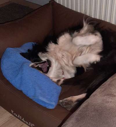 CHALLENGE NR. 34 - Liege-/Schlafpositionen-Beitrag-Bild