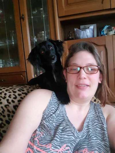 Mischlinge raten - Rätselspaß-Beitrag-Bild